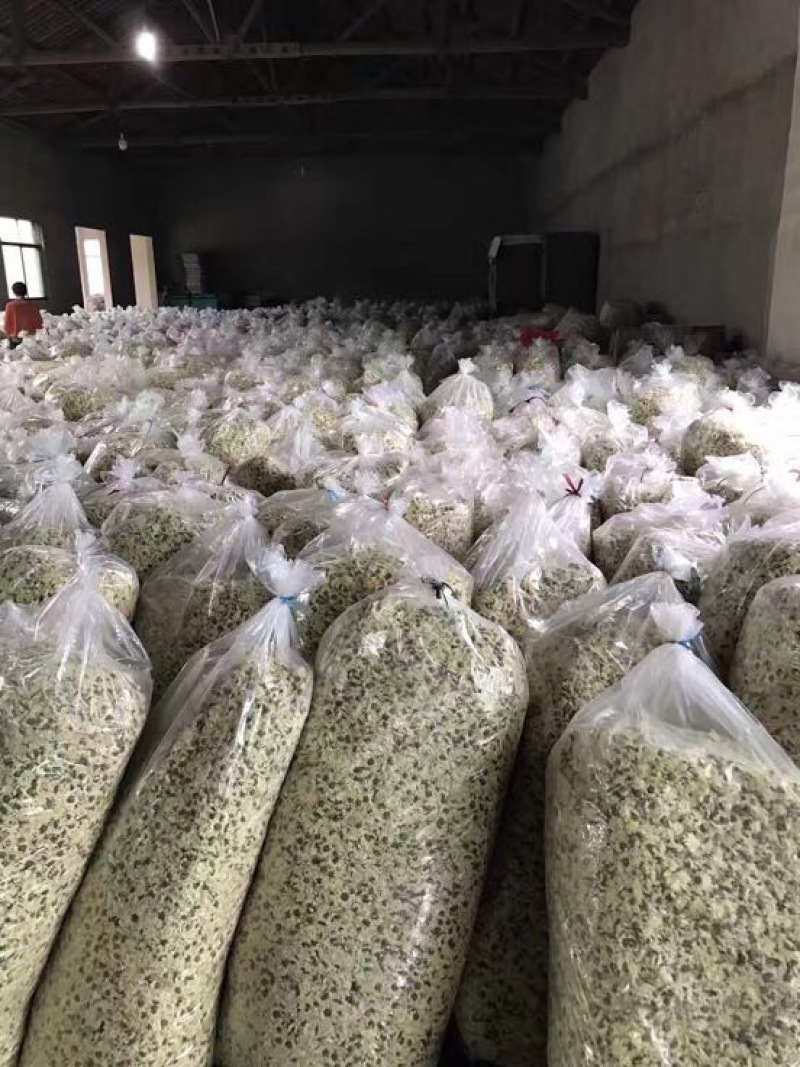 黄山贡菊45一斤，200斤起