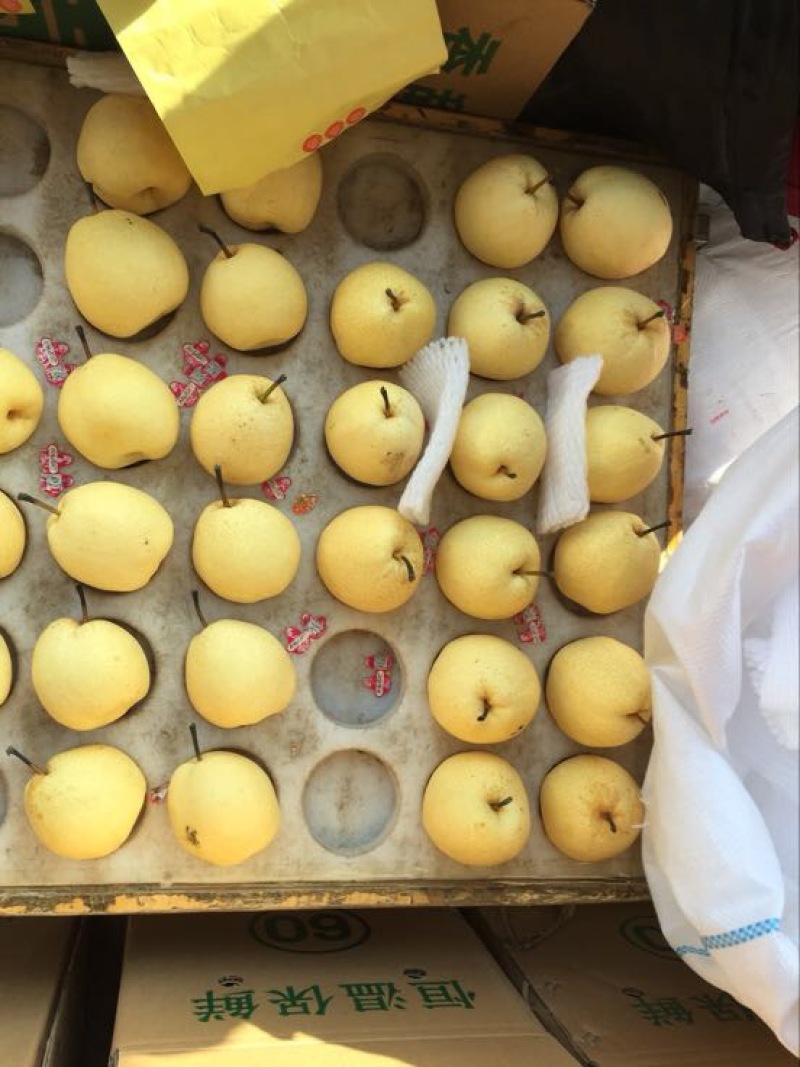 祁县酥梨纸箱250~300g