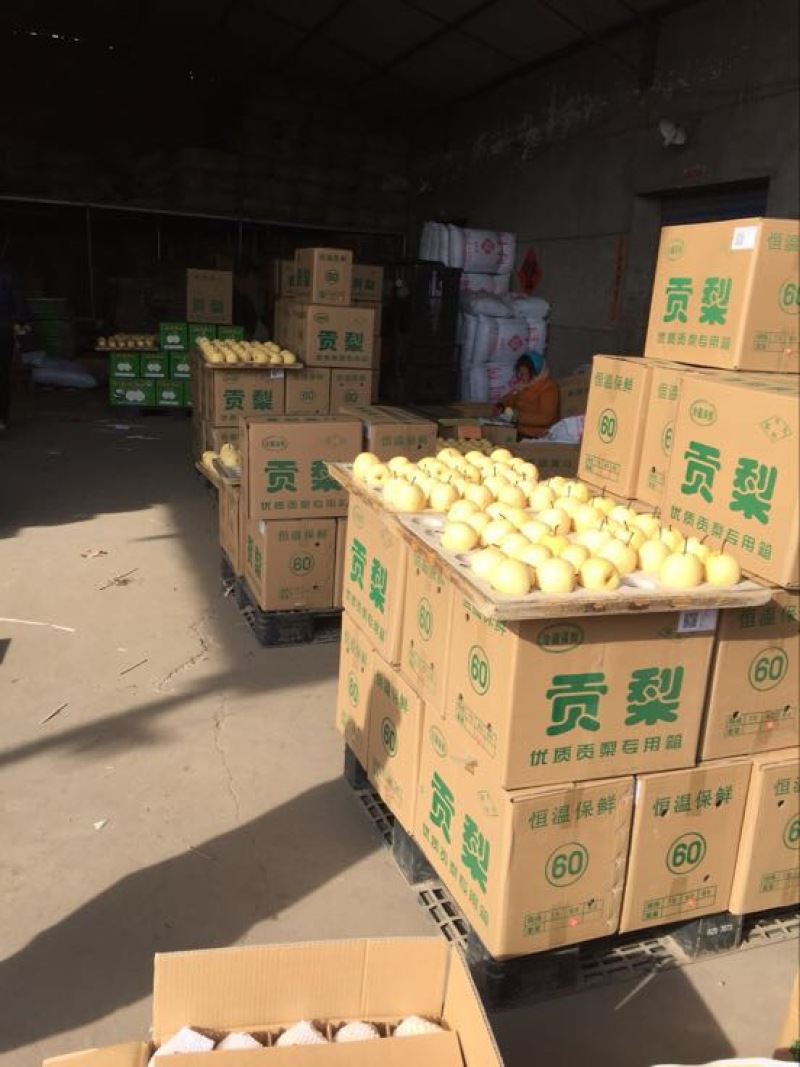 祁县酥梨纸箱250~300g