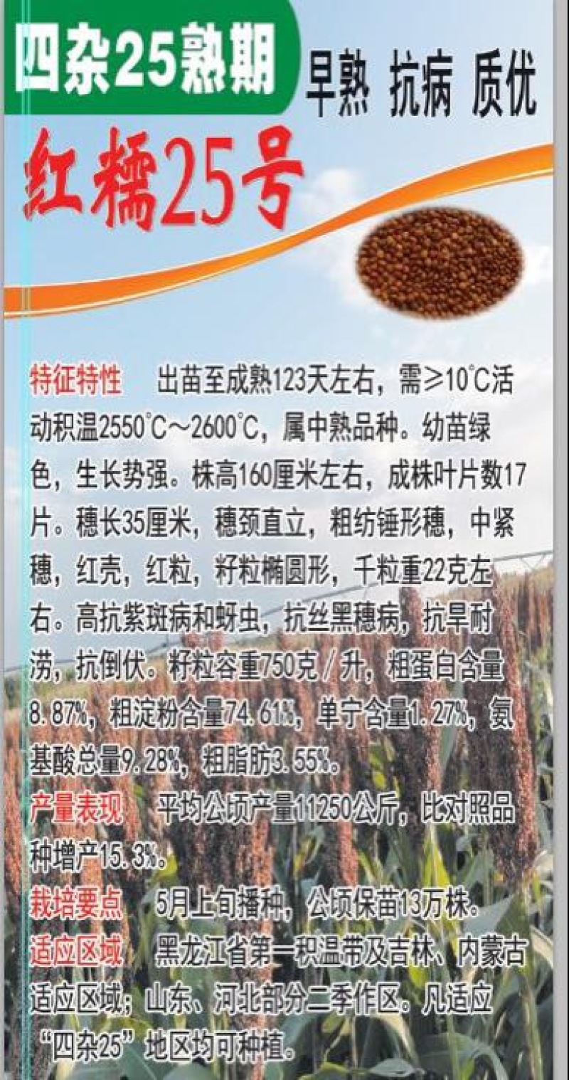 红高粱销售各种糯高粱种子
