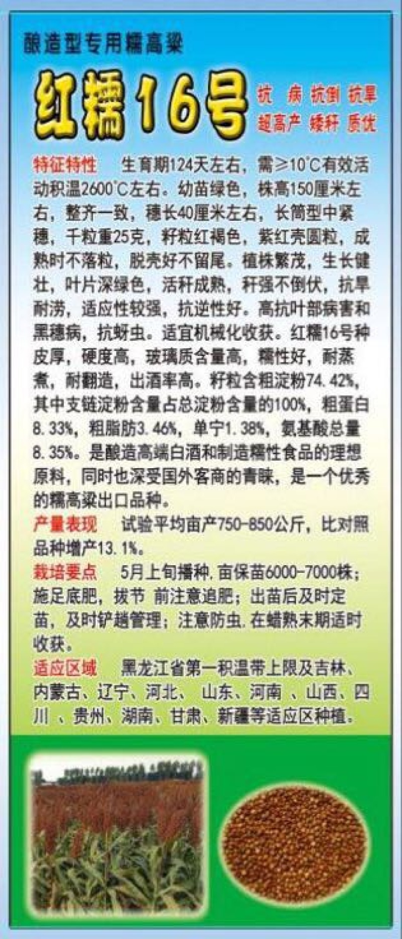 红高粱销售各种糯高粱种子
