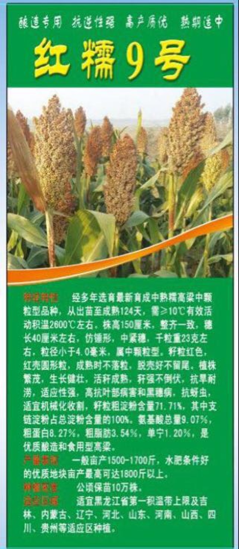 红高粱销售各种糯高粱种子