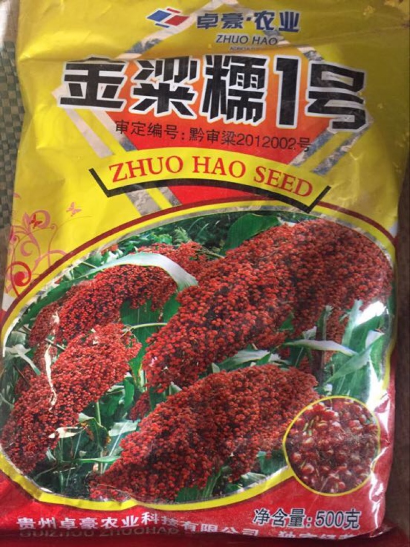 红高粱销售各种糯高粱种子