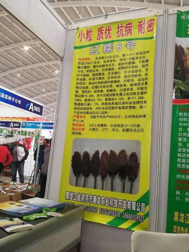 红高粱销售各种糯高粱种子