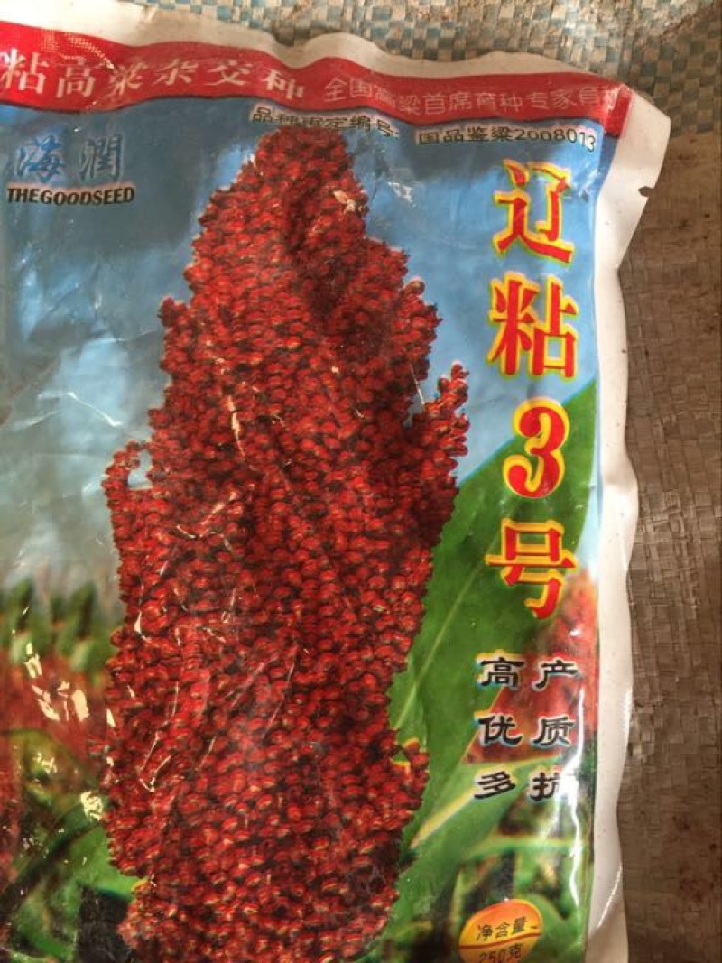 红高粱销售各种糯高粱种子