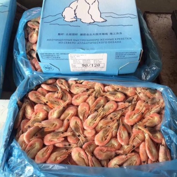 北极虾