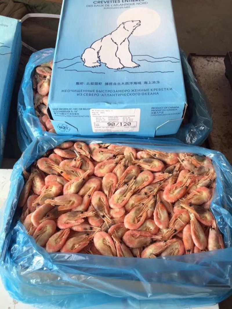 北极虾
