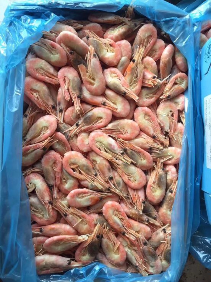 北极虾