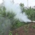 打药机烟雾机植保弥雾机