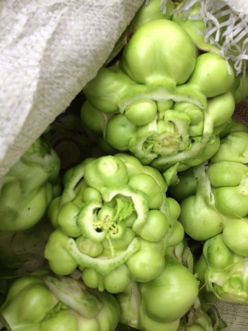 榨菜4两以上