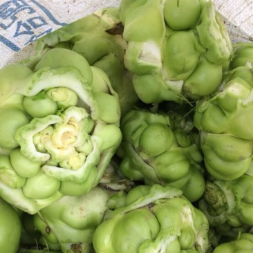 榨菜4两以上