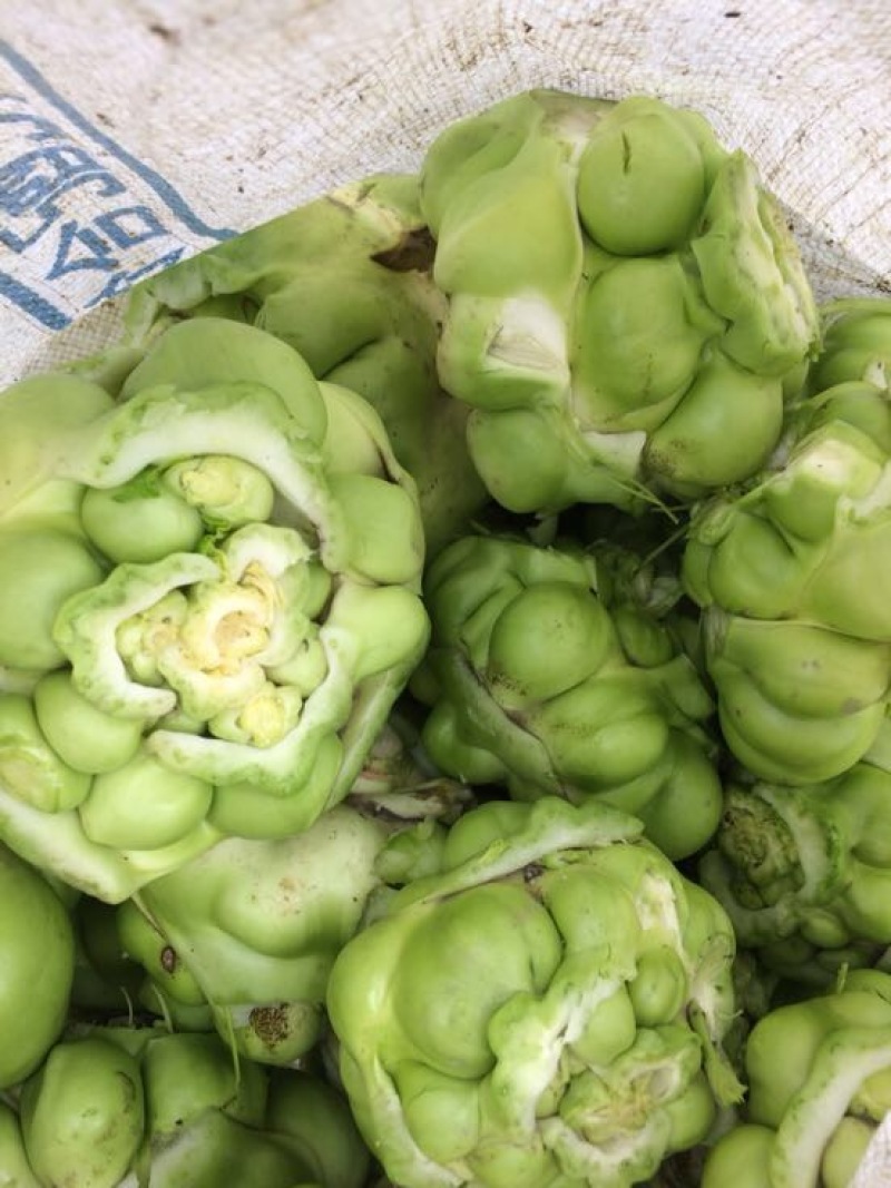 榨菜4两以上
