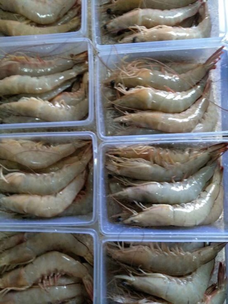 虾干一级