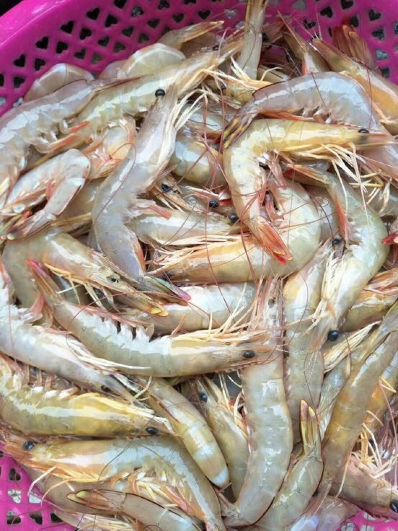 虾干一级