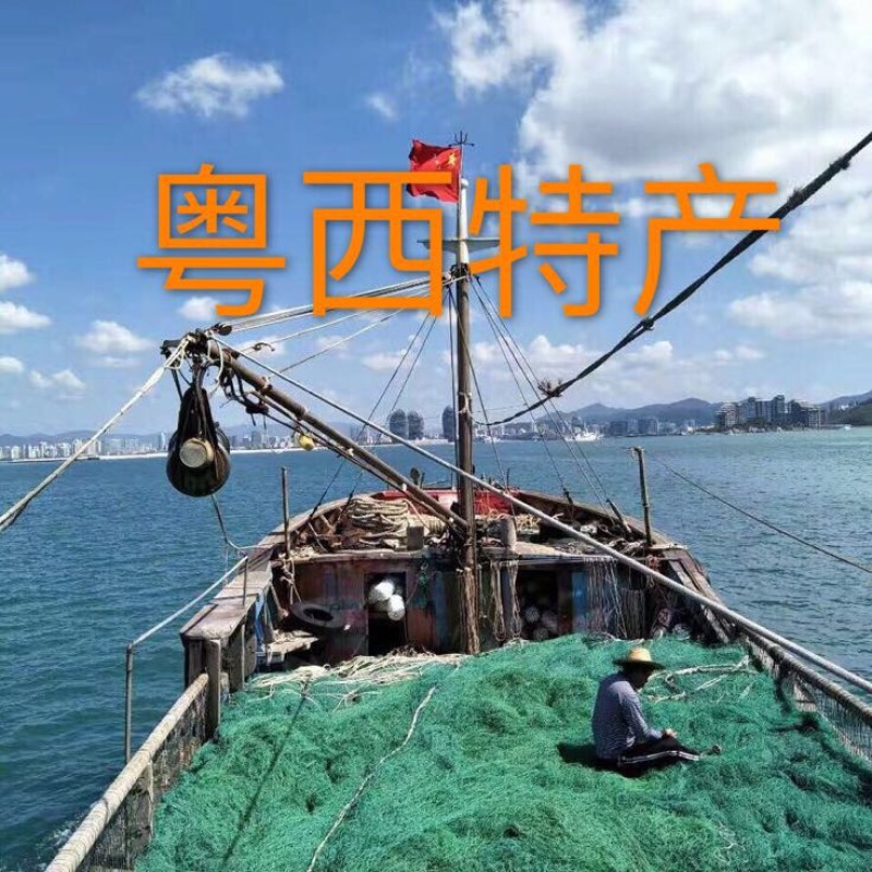 虾干一级