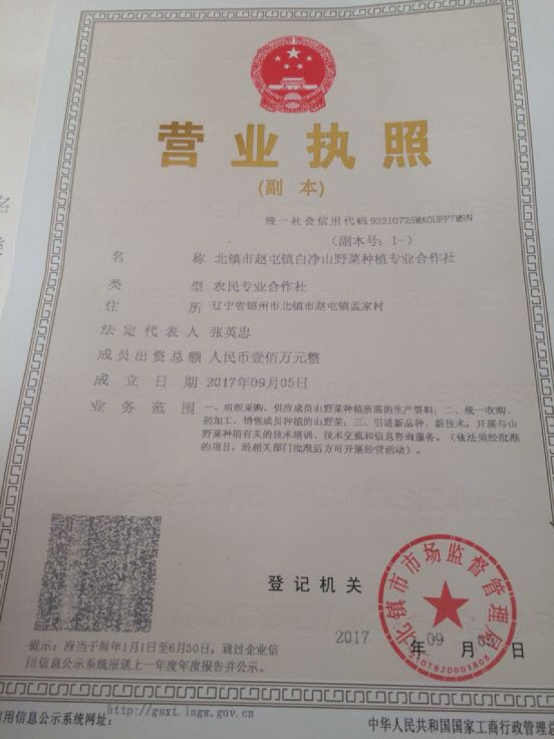 曲麻菜10厘米以下