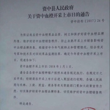 塔罗科血橙65~70mm