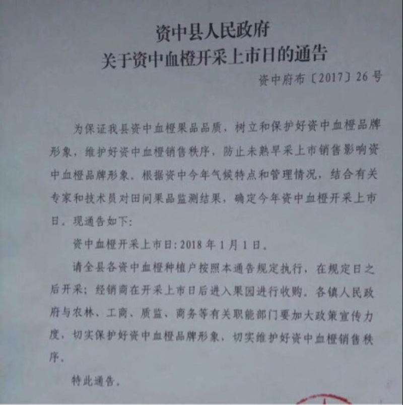 塔罗科血橙65~70mm
