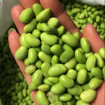 毛豆6克以下