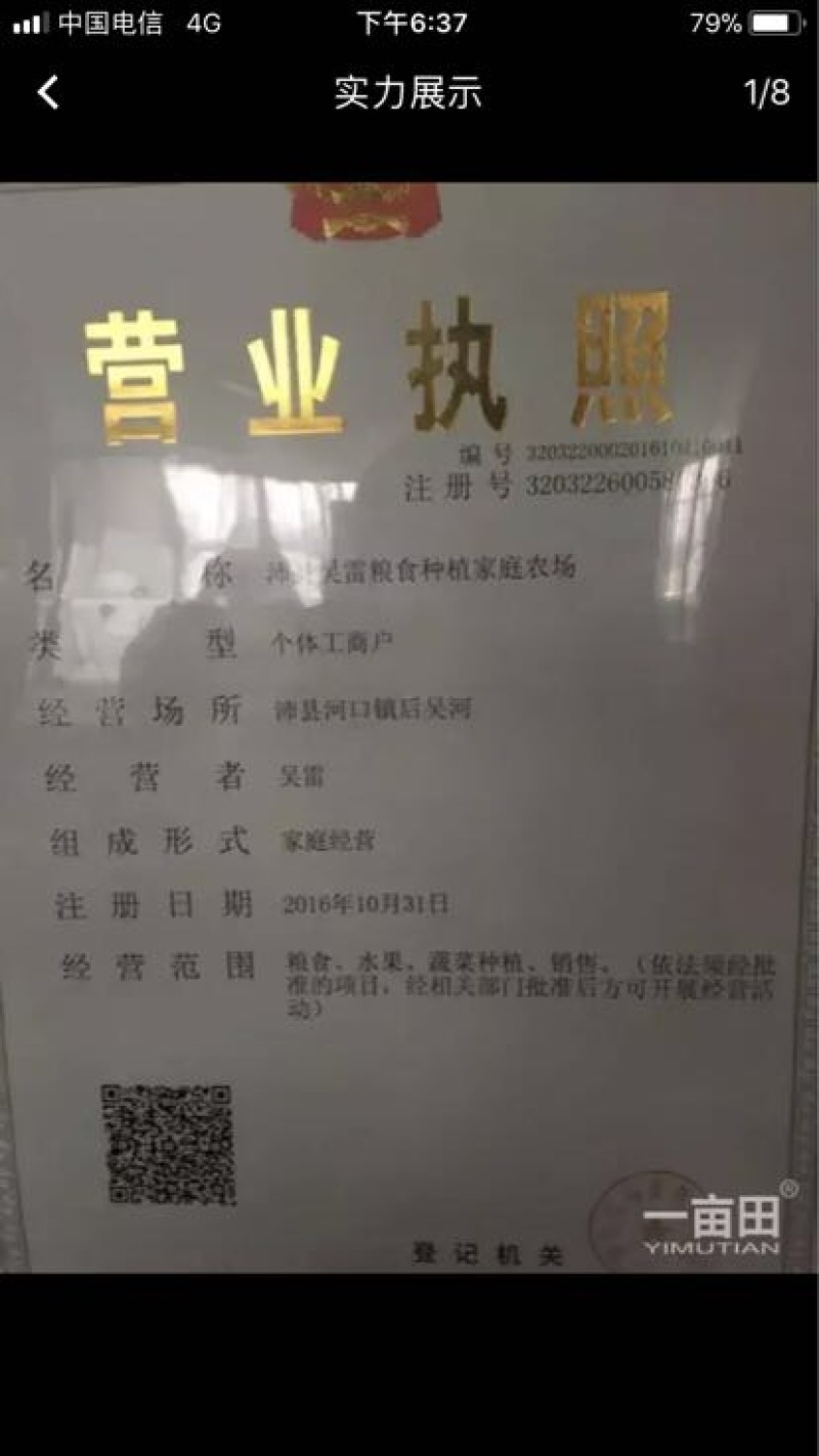 白帽蒜薹精品60~70cm产地直供，省钱省心