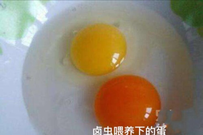 虾饲料，泥鳅饲料，蛋鸡鸭饲料，观赏鱼饲料