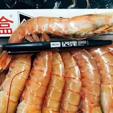 阿根廷红虾L1