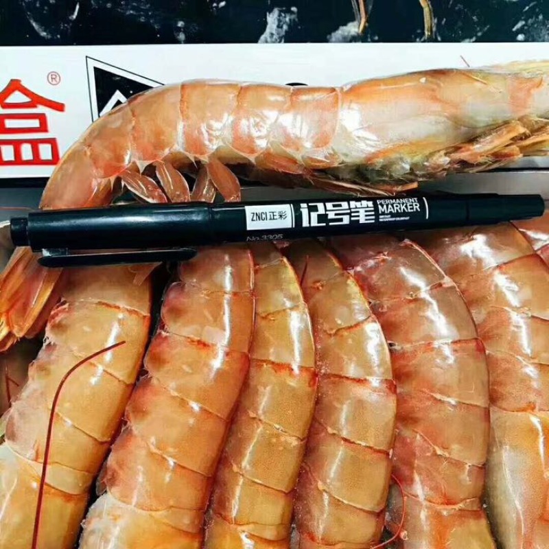 阿根廷红虾L1
