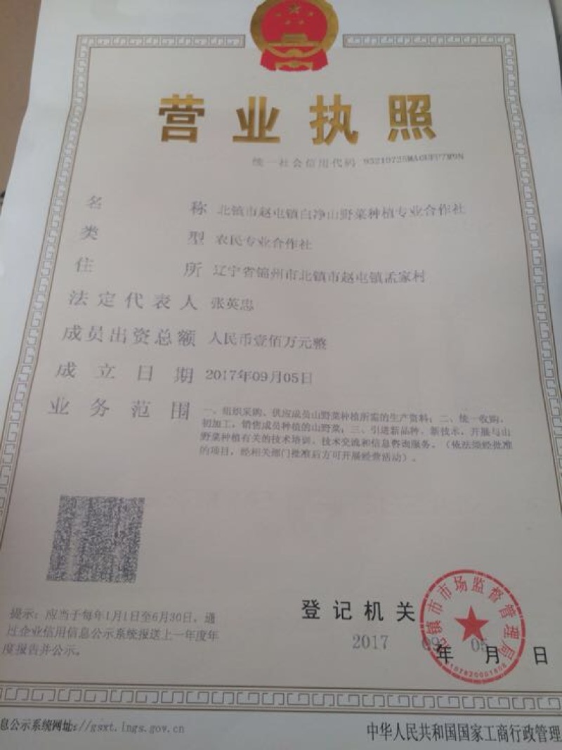 曲麻菜10厘米以下