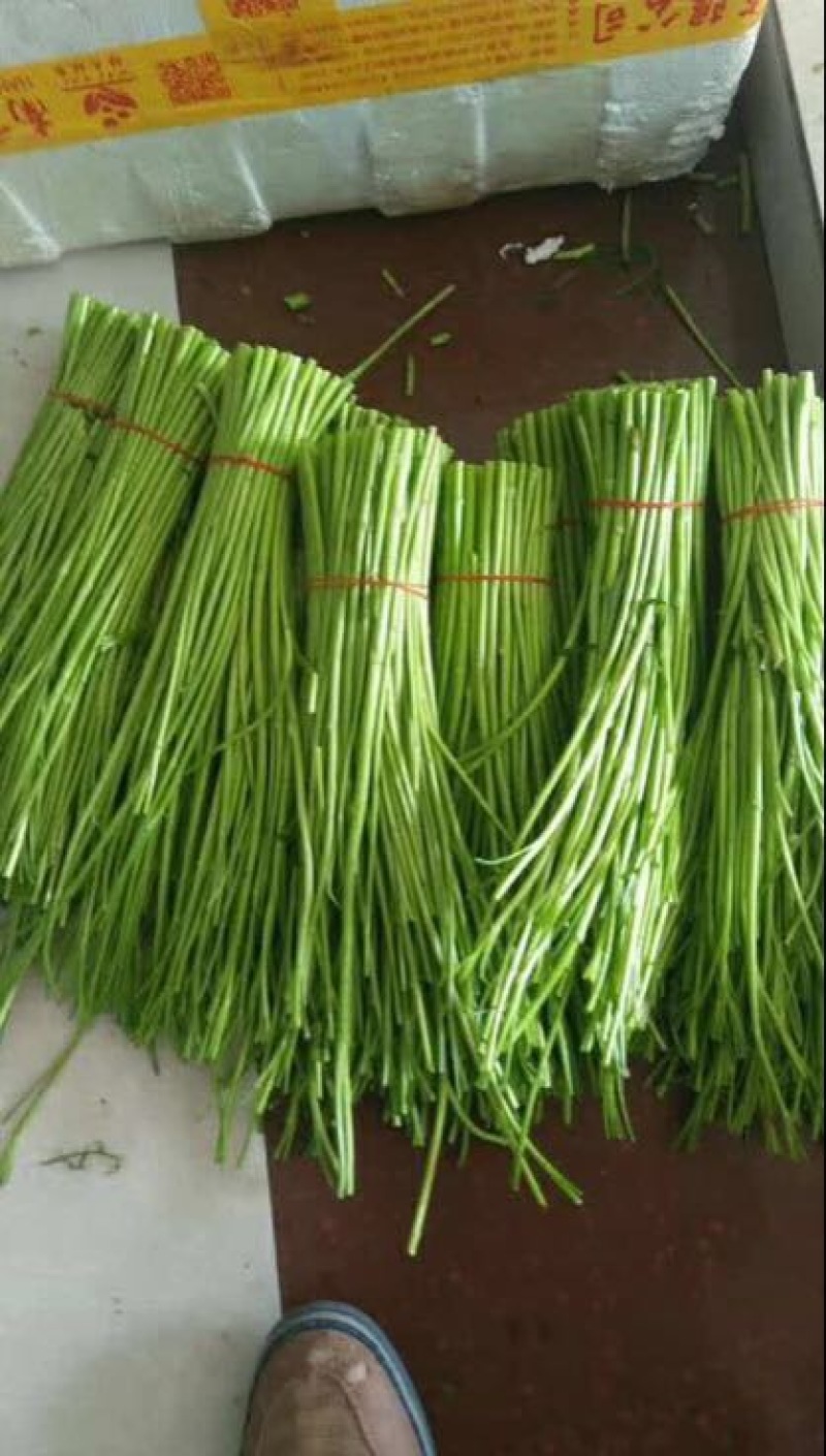 芦篙我们是认真的，做好做大。服务态度决定一切。