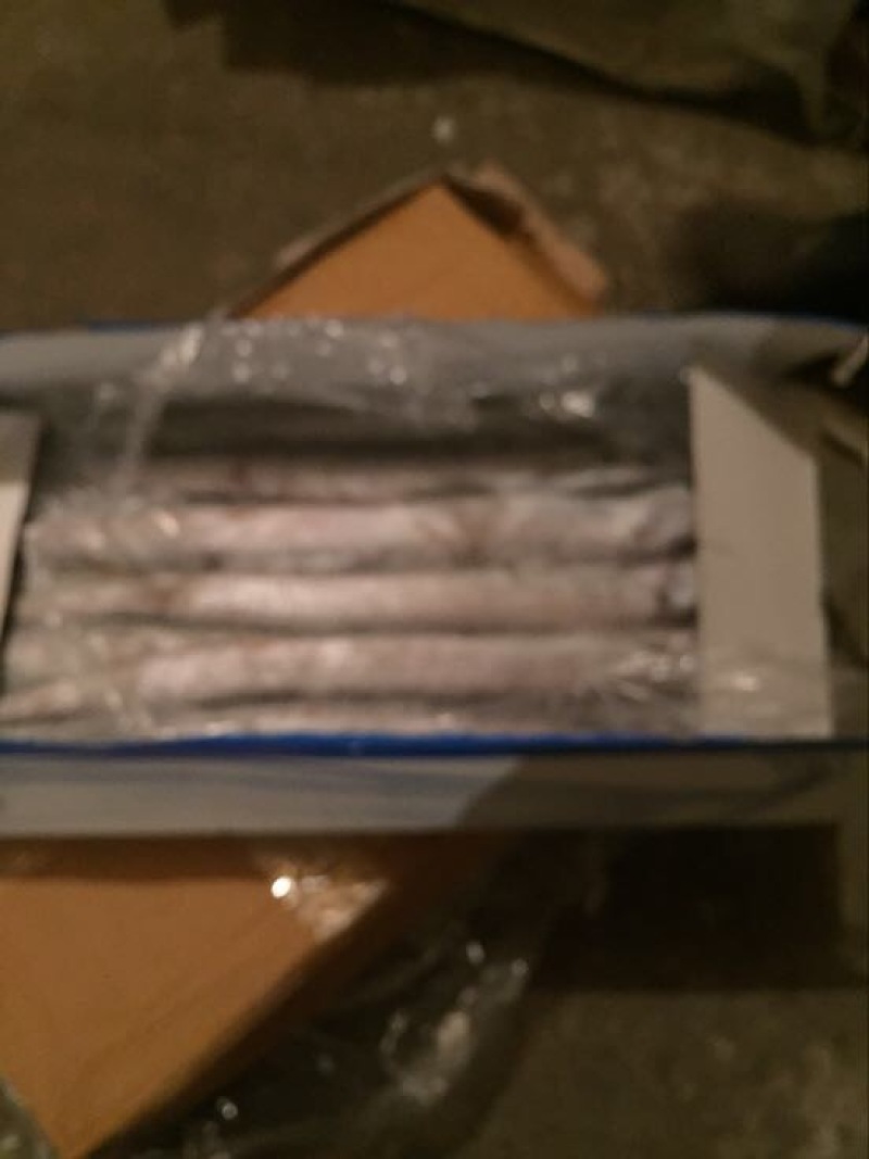 刀鱼食用冻鱼