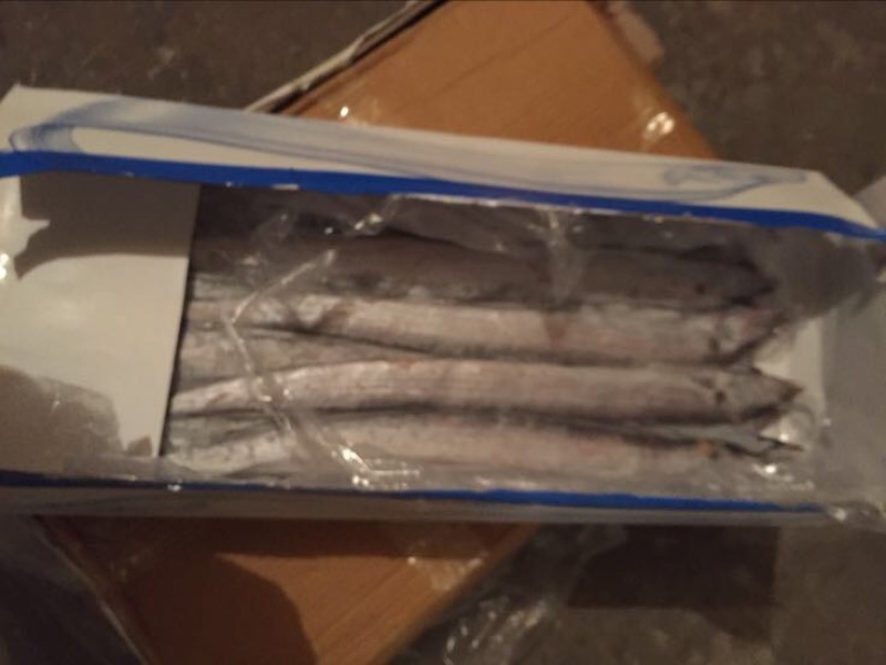 刀鱼食用冻鱼