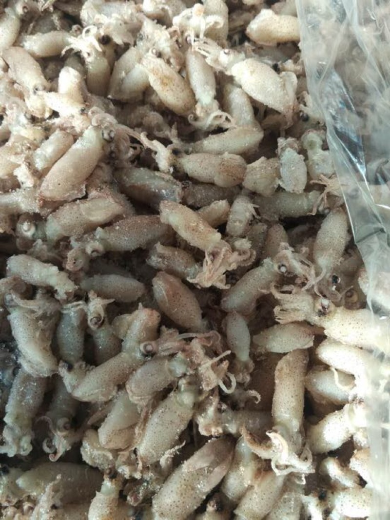 虾皮特级