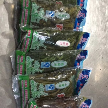 蕨菜山野菜