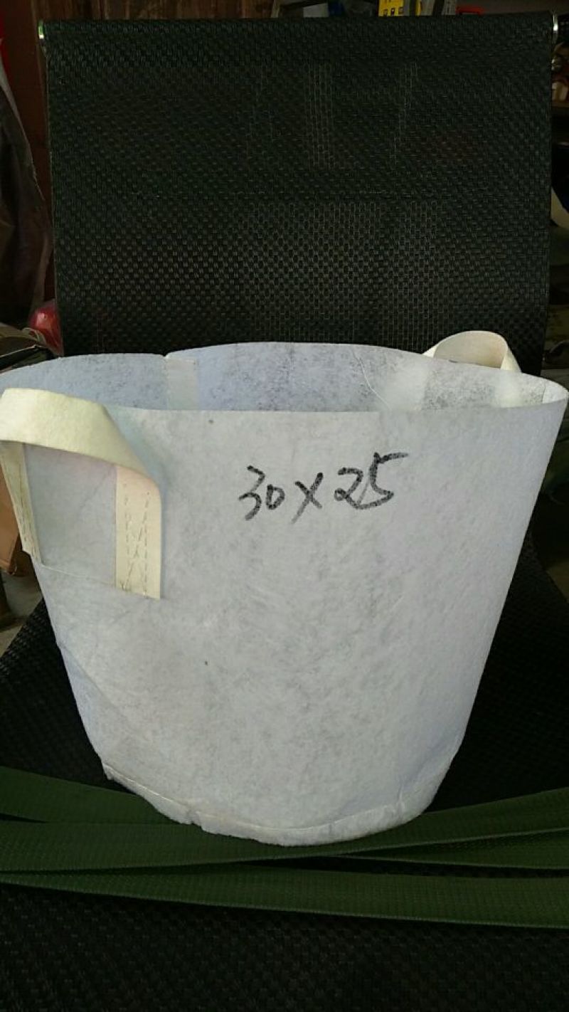 营养钵木苗营养杯美植袋