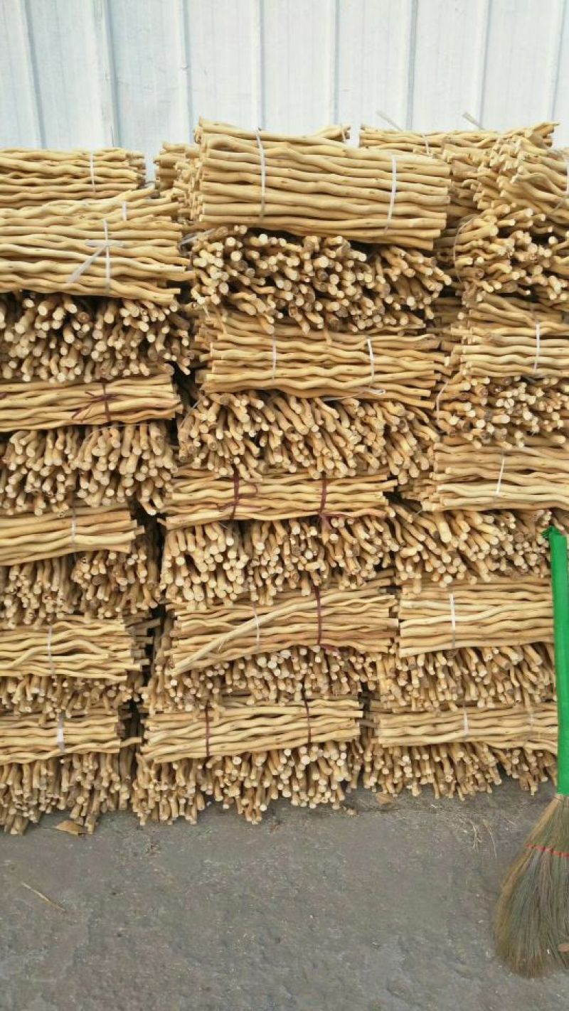 桑树1.8~2m