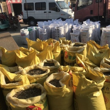 瓜子厂家大量批发生熟，年货地摊货跑江湖必须品