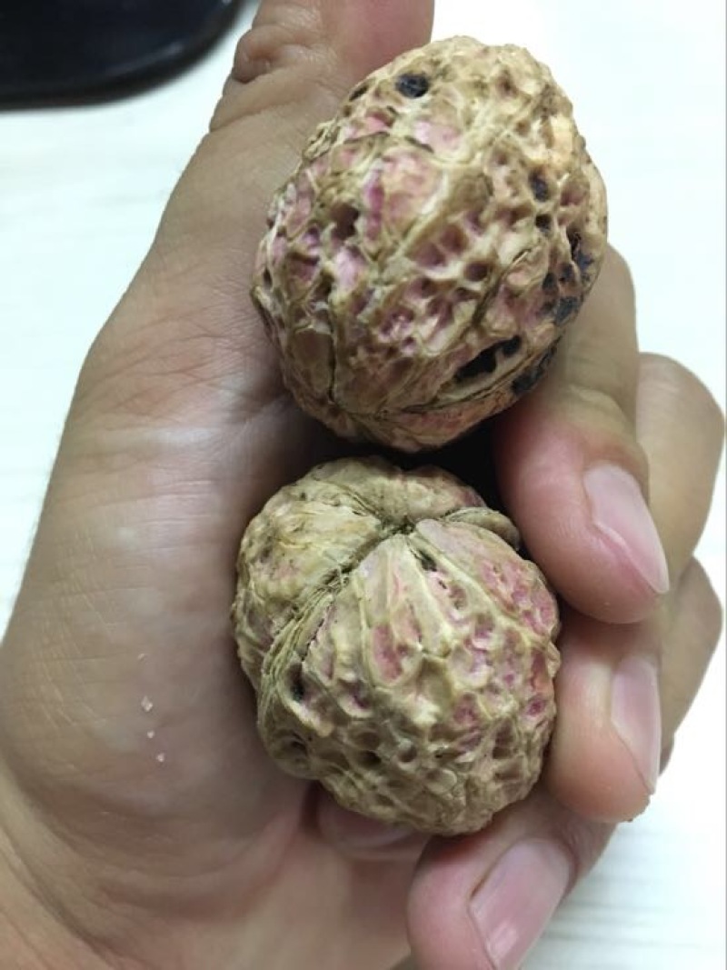 薄皮核桃30mm以上去皮干