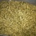 山东地产金银花各种规格的欢迎要货的老板们联系
