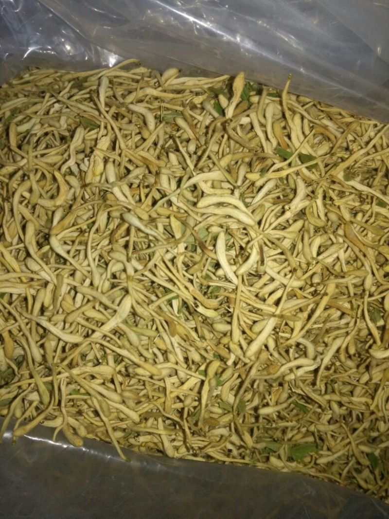 山东地产金银花各种规格的欢迎要货的老板们联系