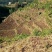 生态基地5000亩以上10~30年合作