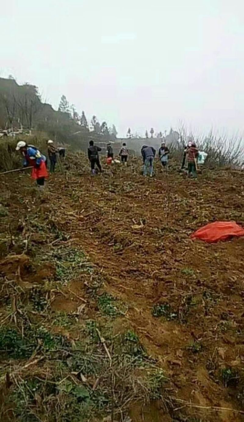 生态基地5000亩以上10~30年合作