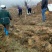 生态基地5000亩以上10~30年合作