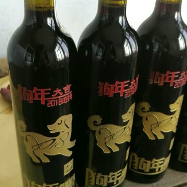 酒瓶兰50~80cm