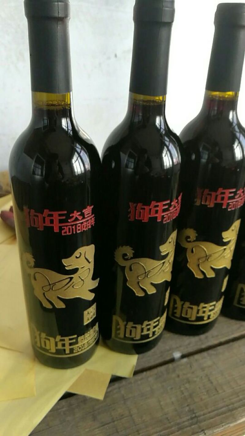 酒瓶兰50~80cm