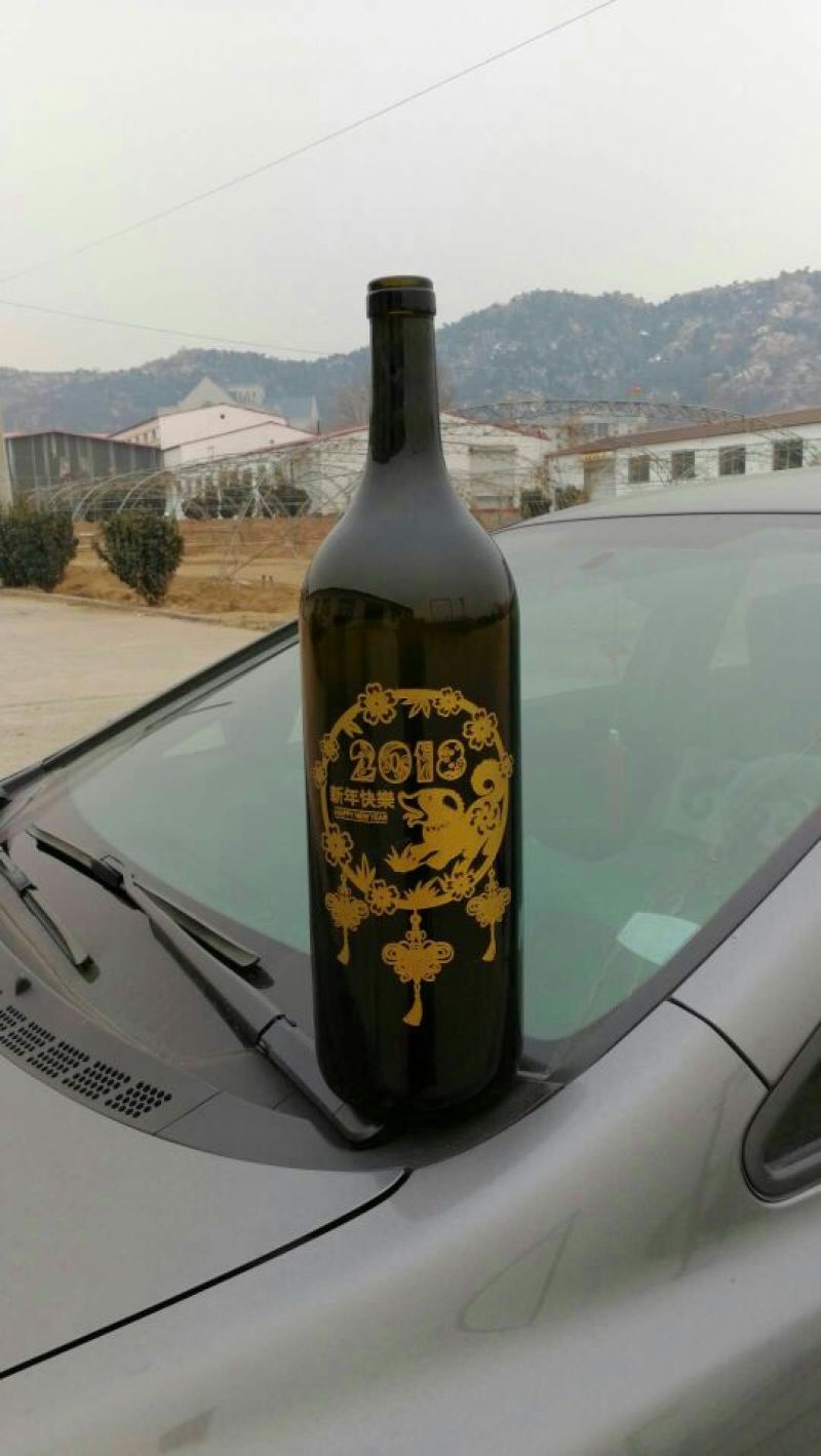 酒瓶兰50~80cm