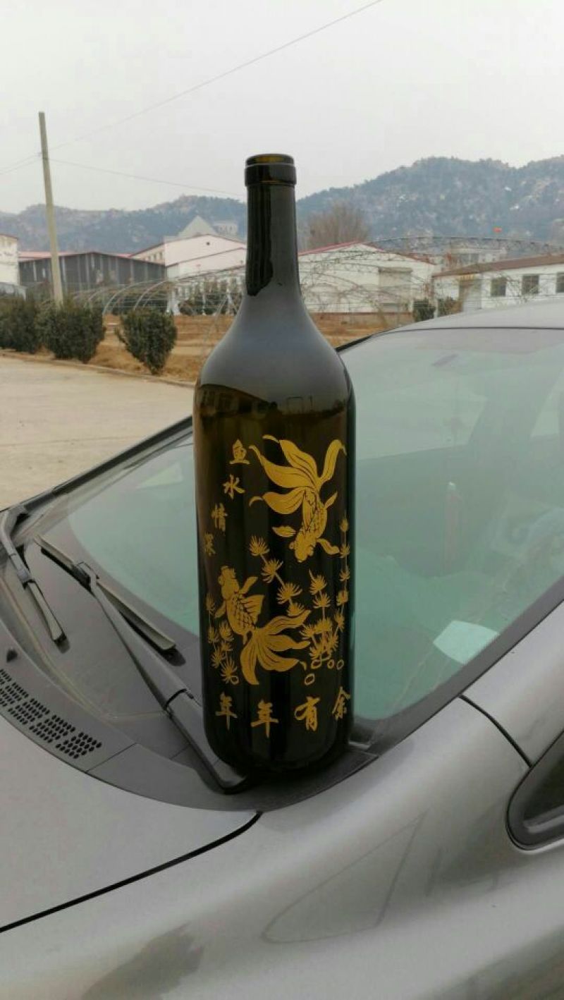 酒瓶兰50~80cm