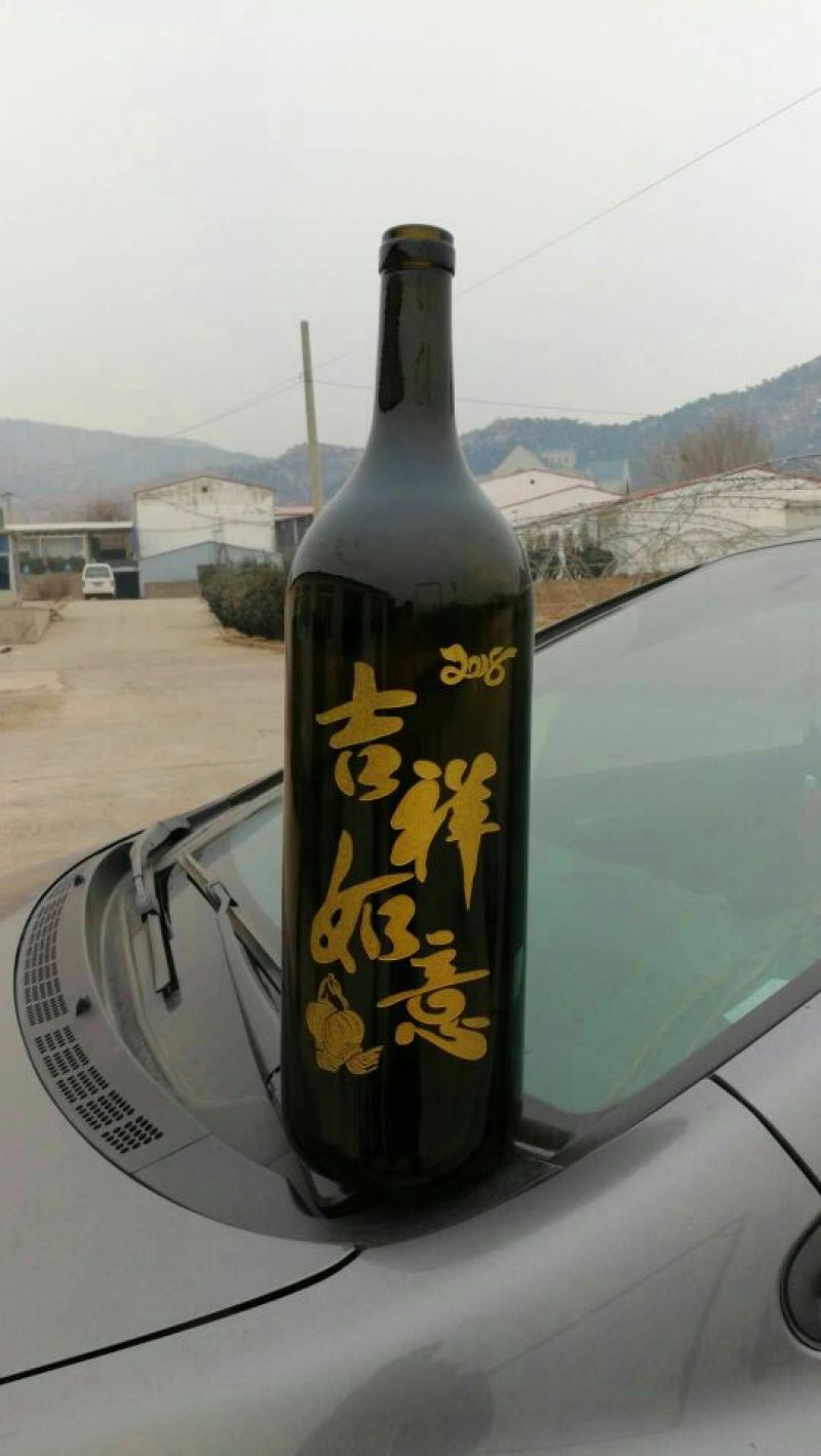 酒瓶兰50~80cm