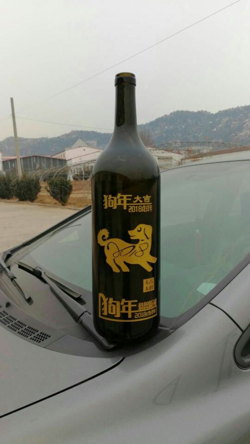 酒瓶兰50~80cm