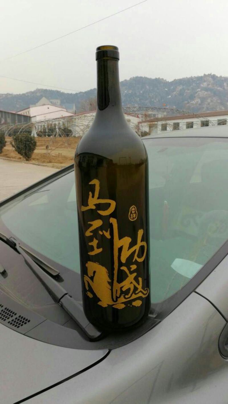 酒瓶兰50~80cm