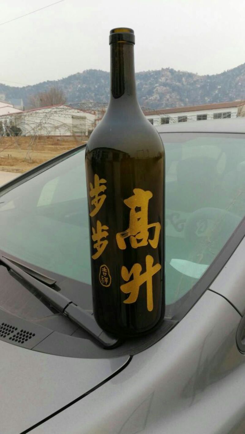 酒瓶兰50~80cm
